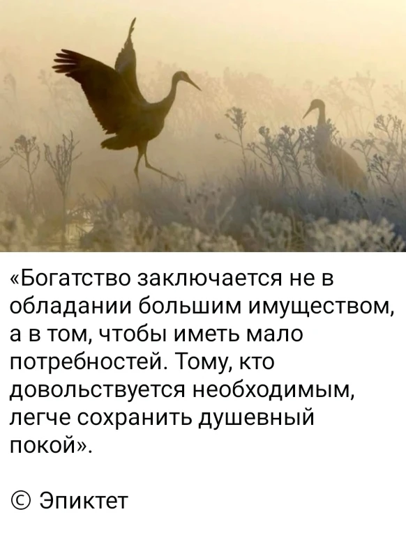 Изображение из поста - изображение
