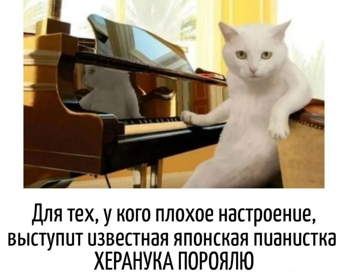 Изображение из поста - изображение