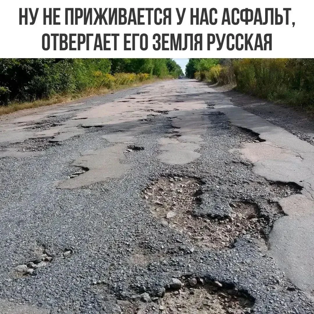У нас земля приживается #юмор - изображение