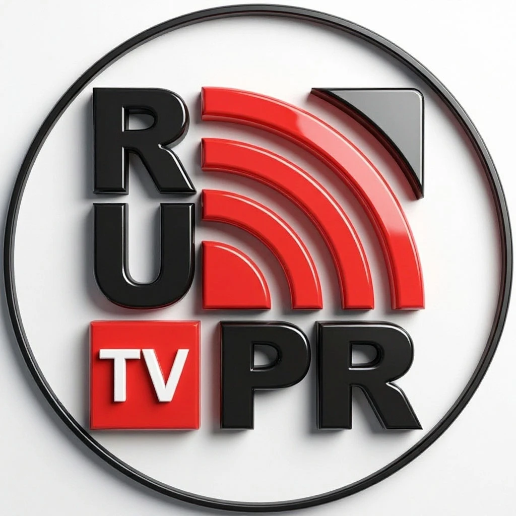 Bilibili в России: как устроен бизнес на «китайском YouTube» через RuPR TV и Топовидение Китайский видеохостинг - изображение
