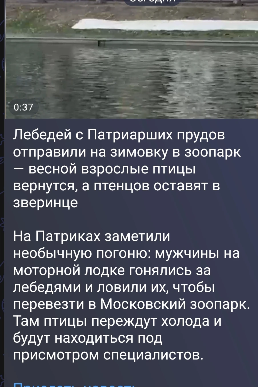 Изображение из поста - изображение