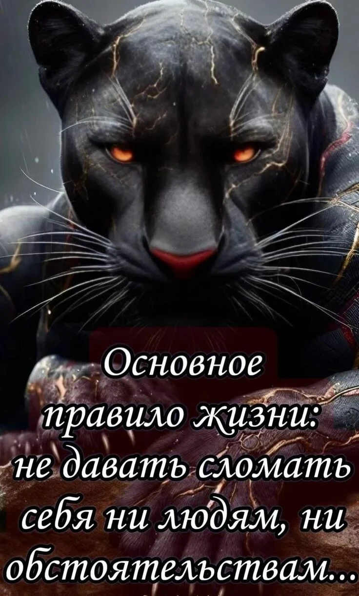 Изображение из поста - изображение