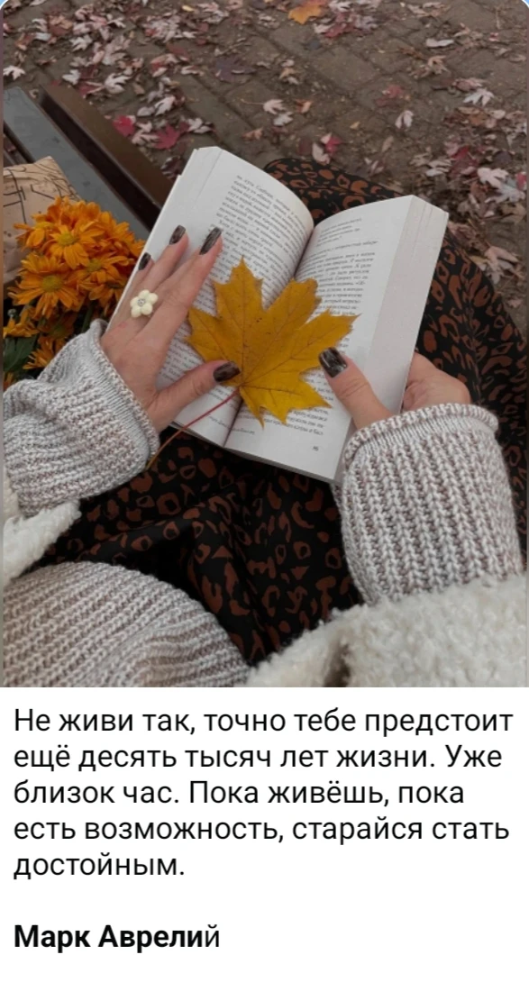 Изображение из поста - изображение