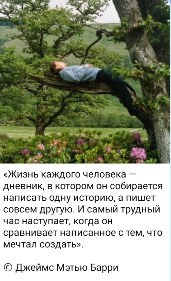 Изображение из поста - изображение