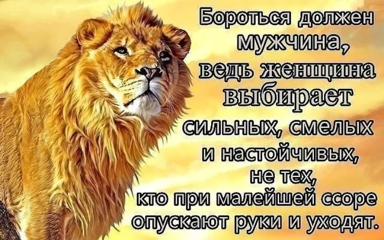 Изображение из поста - изображение