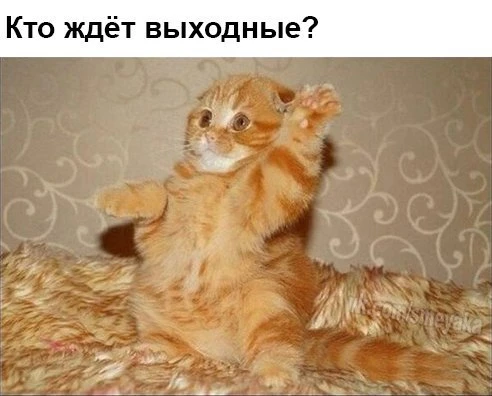 Изображение из поста - изображение