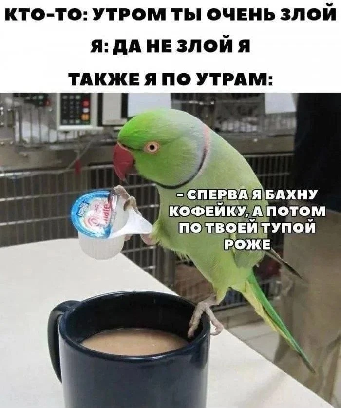 Изображение из поста - изображение