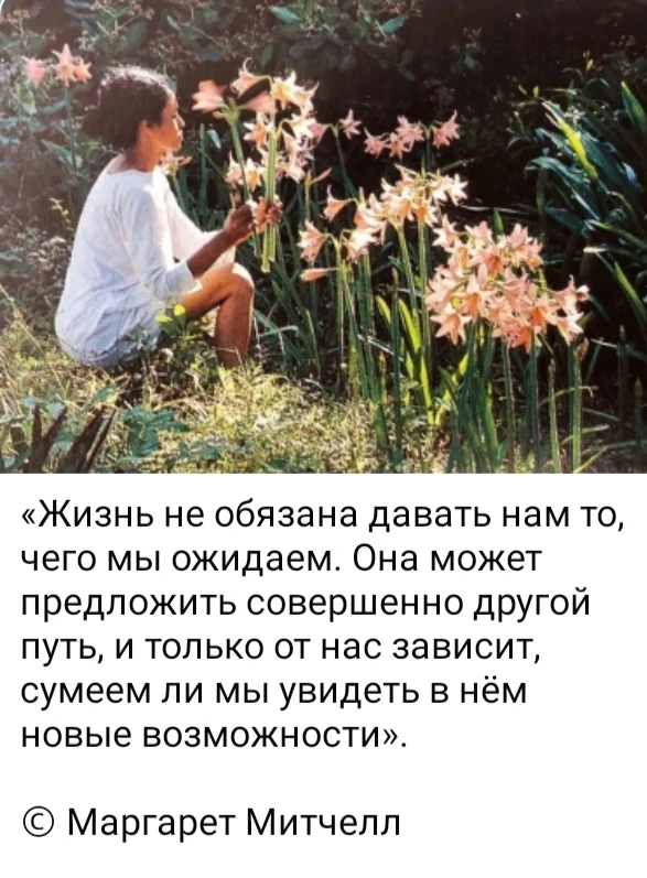 Изображение из поста - изображение