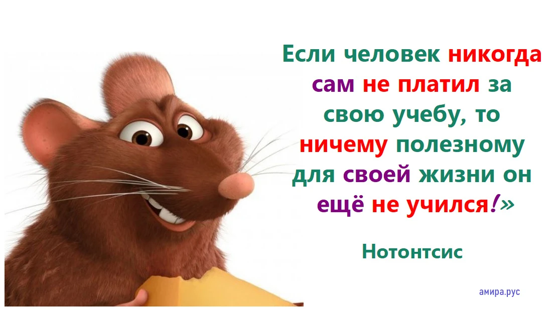 Мой личный пример. Когда-то я сдуру пошел получать бесплатное образование по медицине. И только спустя - изображение