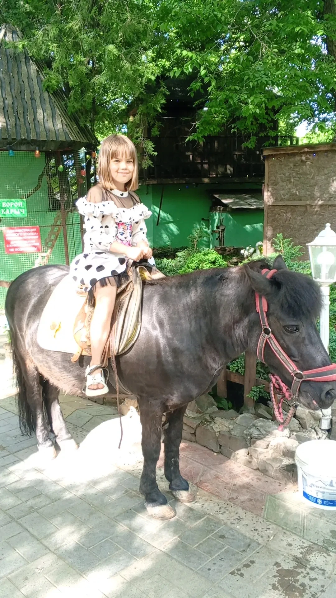 Сбылась мечта ребёнка 😊 Подробней тут 👇 https://vk.ru/wall197785162_1312 #мечта #россия1 #тренды2024 #россия1 - изображение