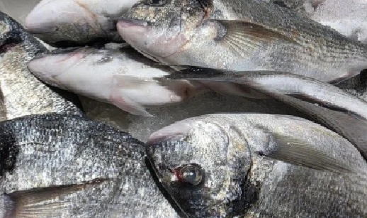 Мировой рынок морепродуктов — это не просто про рыбу и креветки на прилавках. Это масштабная индустрия с - изображение
