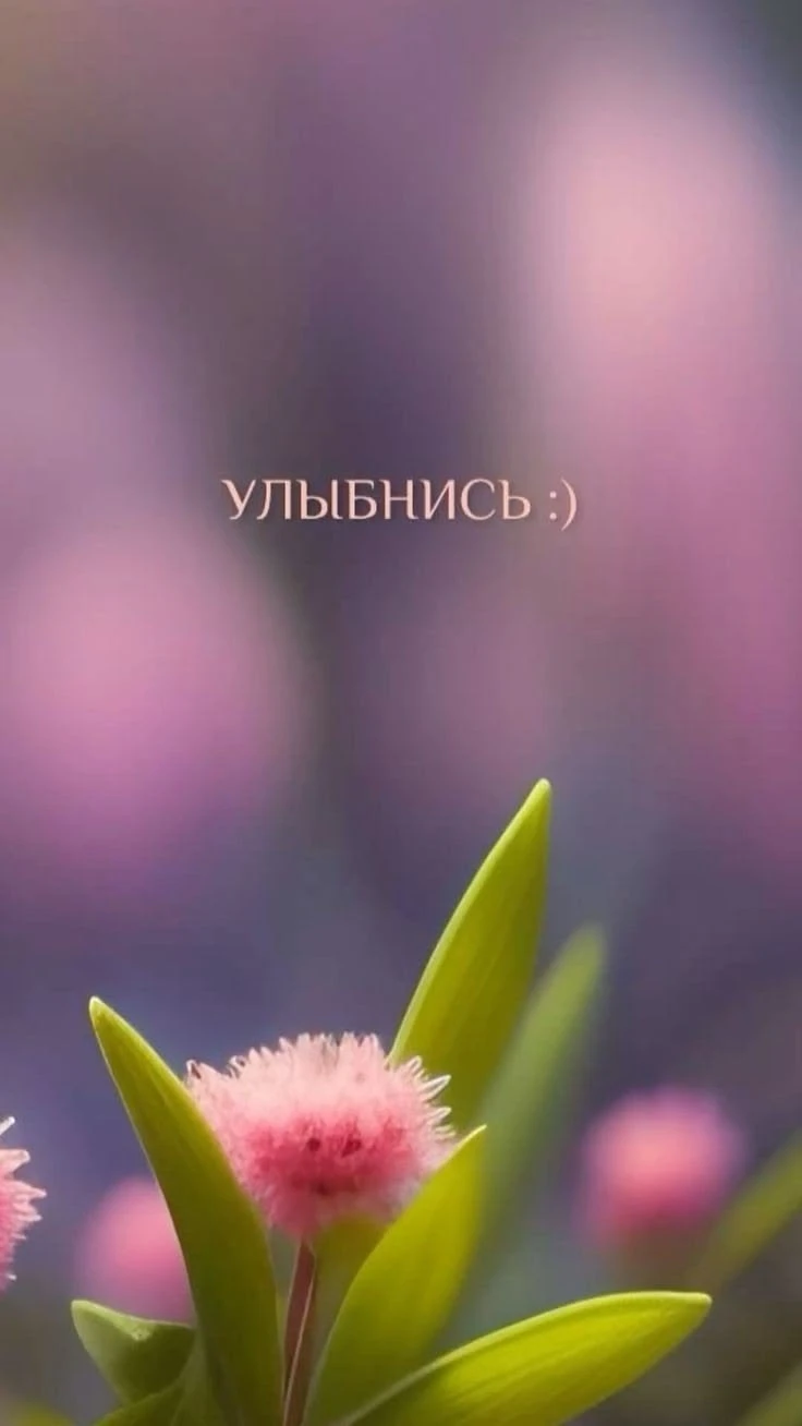 Улыбнись! 🙂💖 Иногда для счастья не нужен особый повод. Достаточно просто заметить что-то красивое вокруг — как - изображение