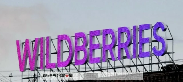 Что происходит с Wildberries прямо сейчас? Компания переживает мощнейший кризис. С середины июля 2026 года - изображение