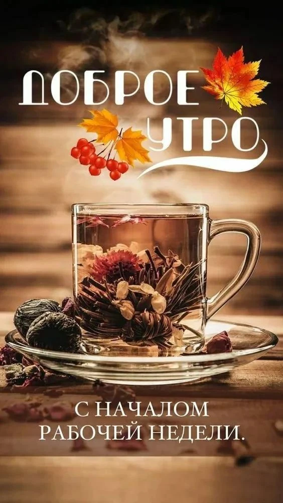 Доброе утро, с началом новой недели - изображение