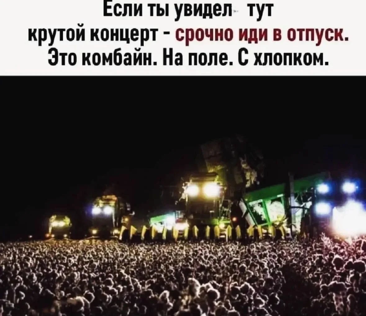 Пора ли в отпуск, скажет картина. Что увидели? #юмор - изображение