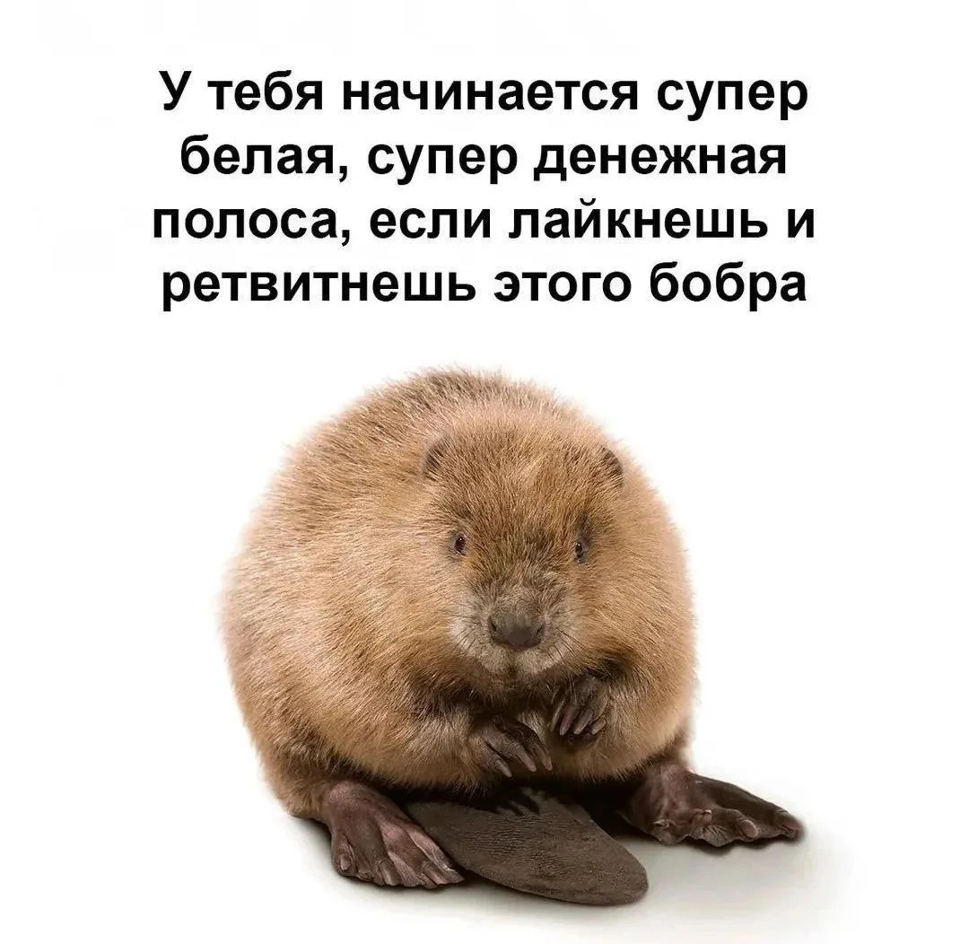 Единственная надежда на профит💵😁😁😁 - изображение