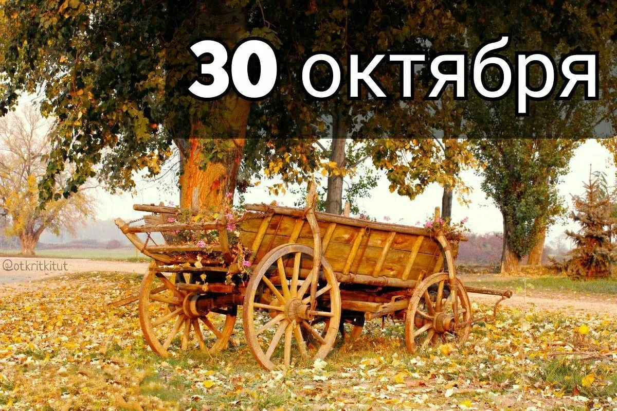 ✅ День тренера ✅ День карих глаз ✅ Всемирный день жизни ✅ День отправки смайлов всем друзьям ✅ Всемирный день - изображение