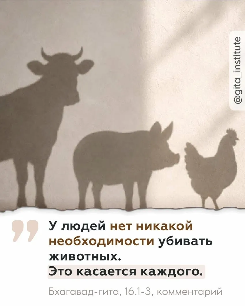Изображение из поста - изображение
