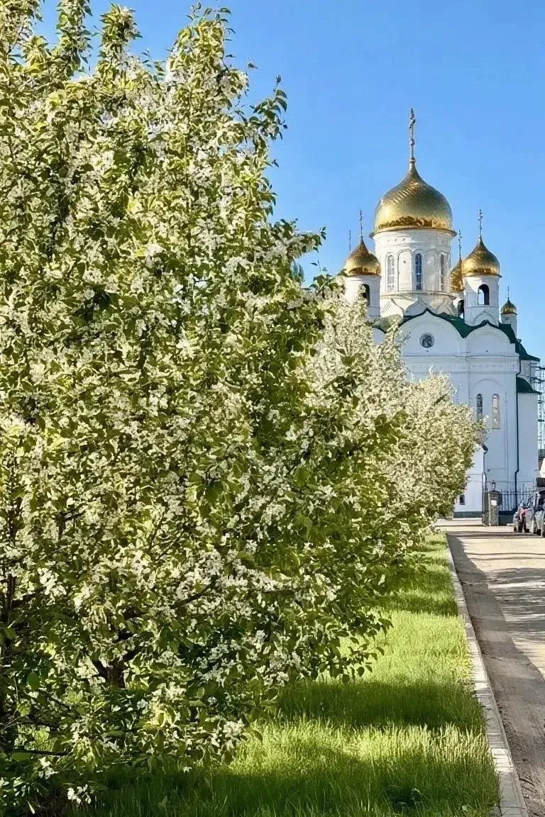Глядя на это фото, чувствуешь, как будто время на миг замирает — и в этой тишине рождается самое светлое - изображение