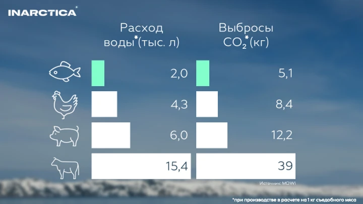 Лосось – не только самый эффективный в производстве вид животного белка (для прироста веса рыбы на 1 кг - изображение