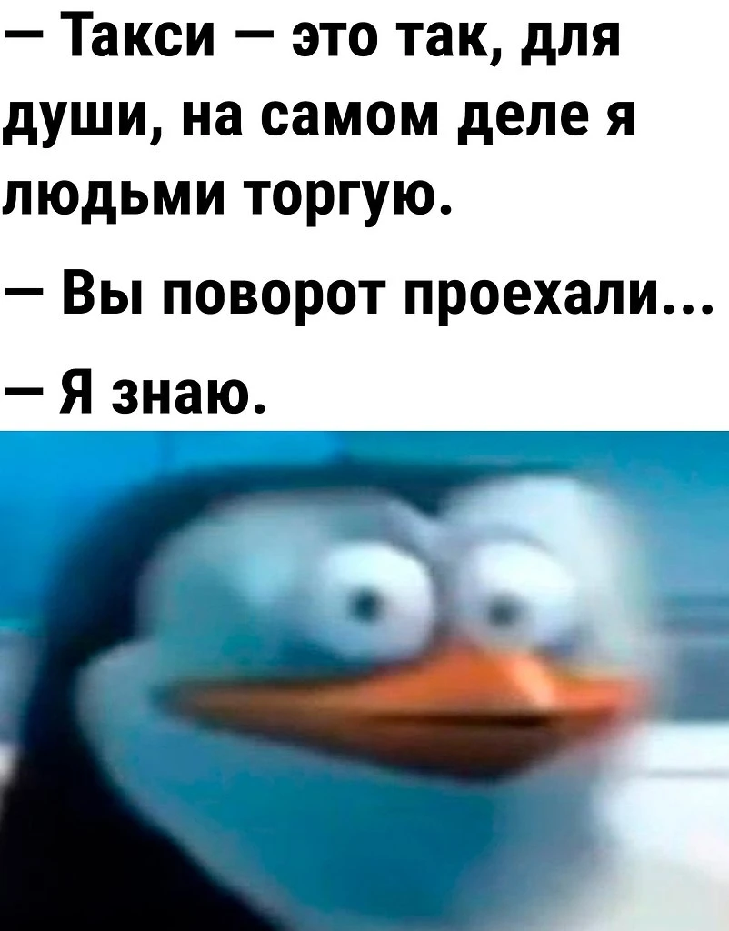 Изображение из поста - изображение