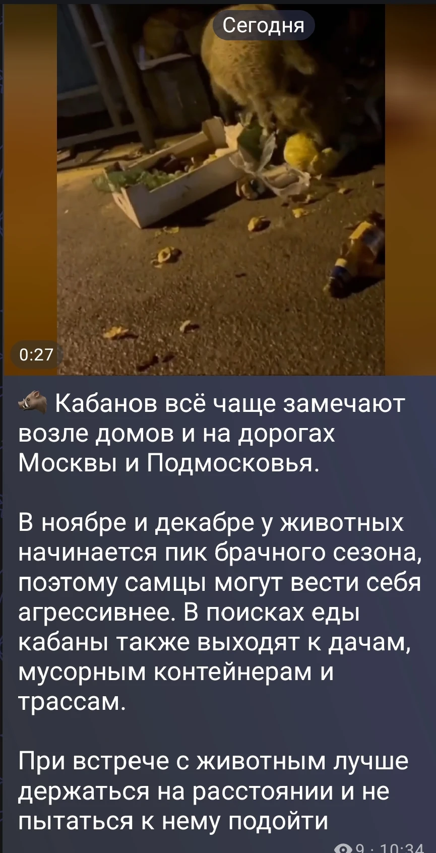 Изображение из поста - изображение