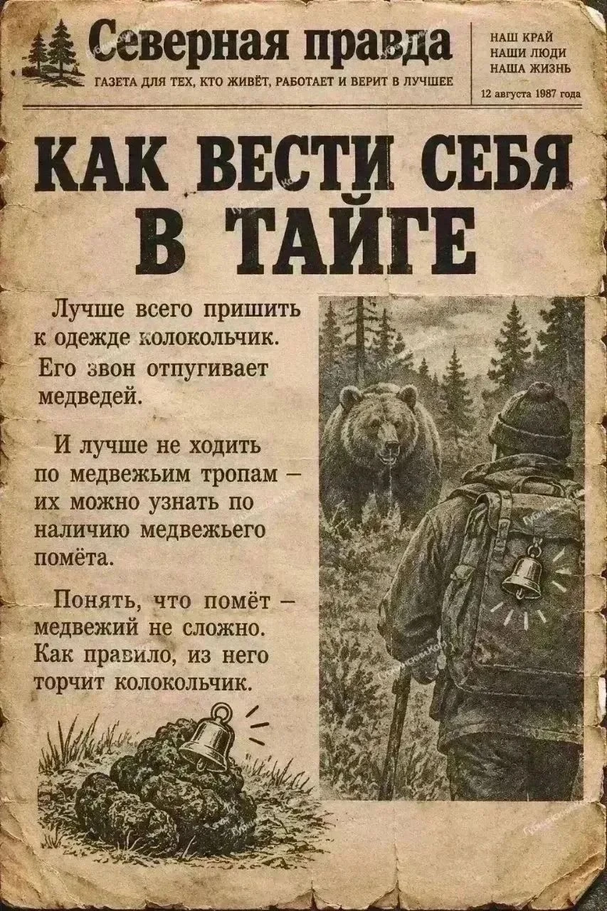 Изображение из поста - изображение