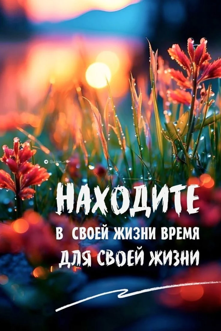 🧘 Время для себя — не роскошь, а необходимость. В бесконечной гонке за продуктивностью мы часто забываем о - изображение