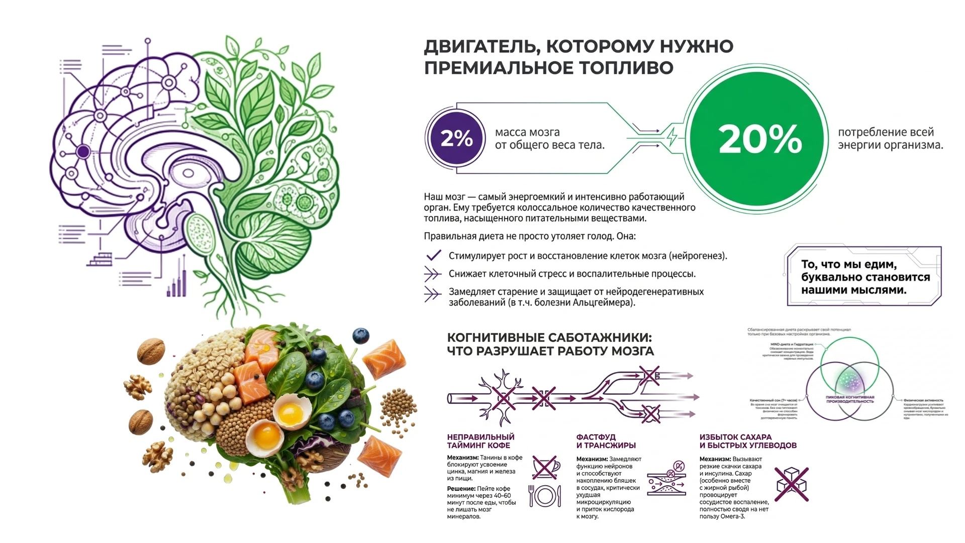 Друзья, то что мы едим буквально становится нашими мыслями... Мозг является самым энергоемким органом и - изображение