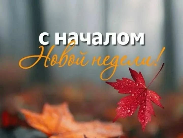 Пусть ваше утро будет добрым и радостным 🤗 даже если это утро ПОНЕДЕЛЬНИКа!!! 😉 #общение #Жизнь - изображение