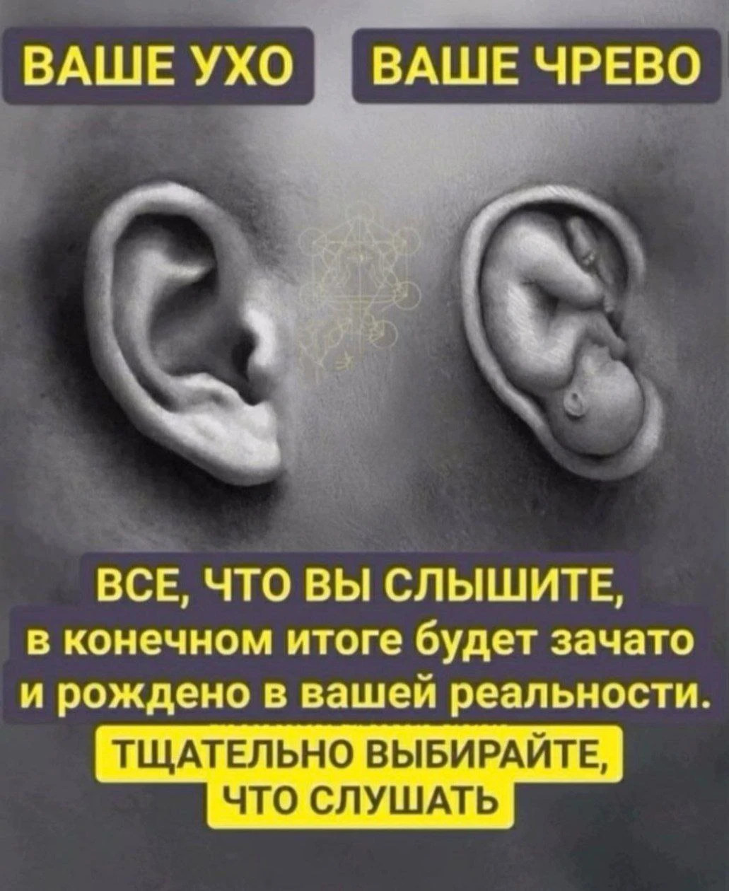 Изображение из поста - изображение