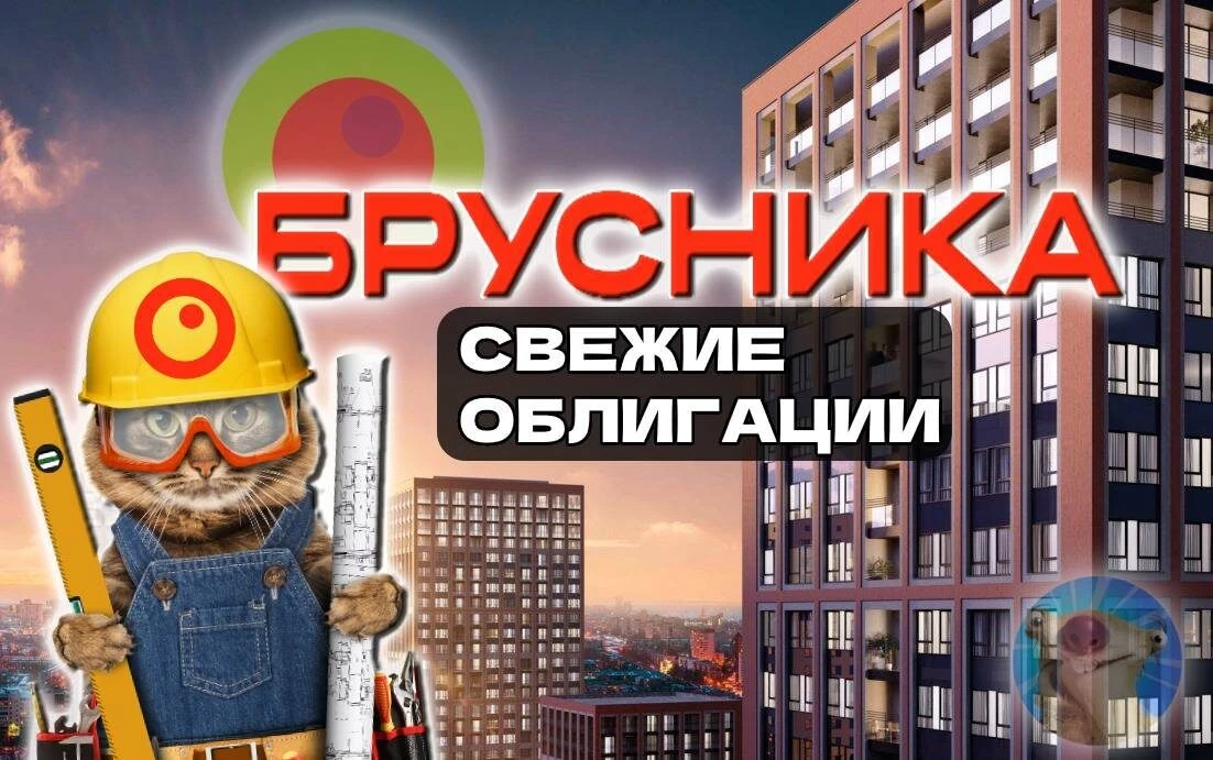 Выждав для приличия почти 3 мес. с размещения прошлого фикса, "ягодная" строительная компания опять готовится - изображение