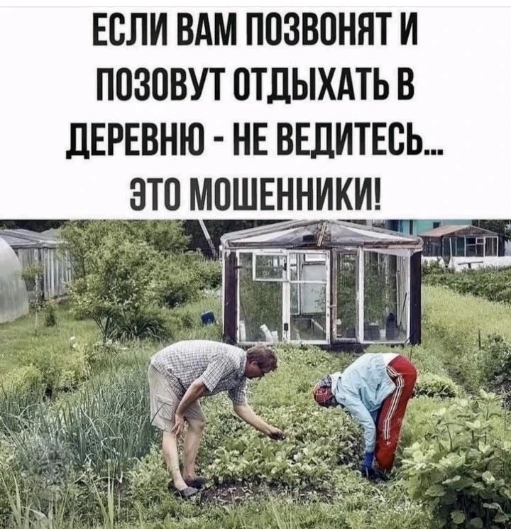#домик_в_деревне #юмор - изображение