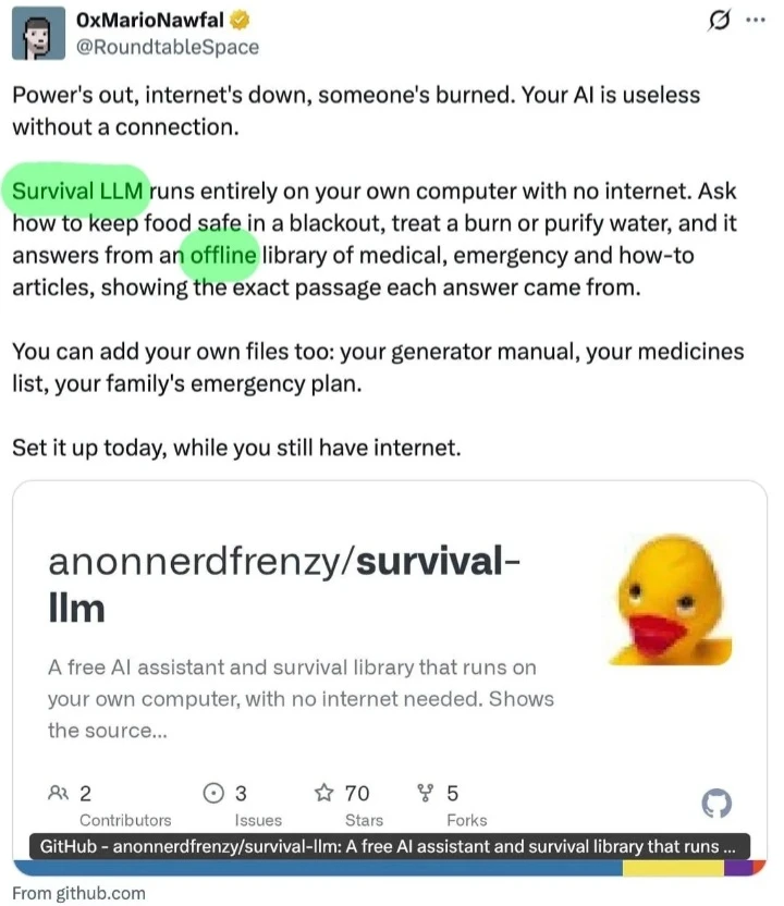 Survival LLM работает без интернета - и в ней собраны все лайфхаки выживания. Хранение еды, очистка воды, - изображение