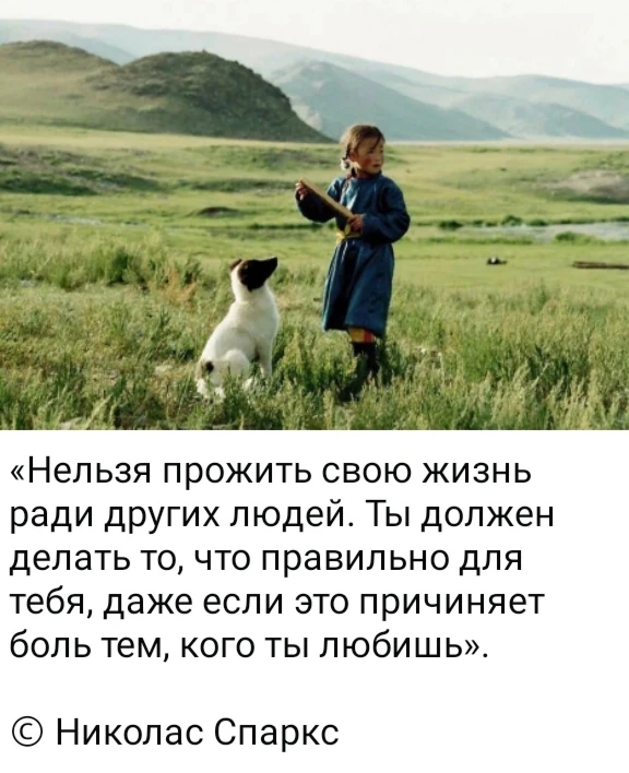 Изображение из поста - изображение