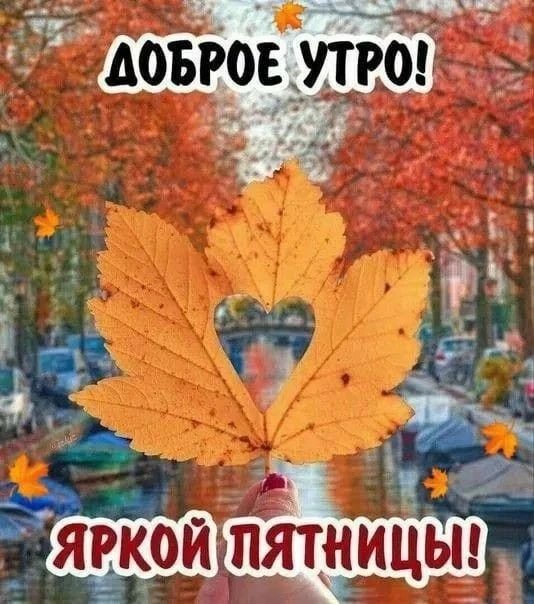 Прекрасного дня - изображение