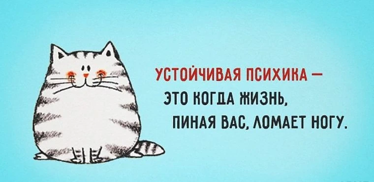 Изображение из поста - изображение