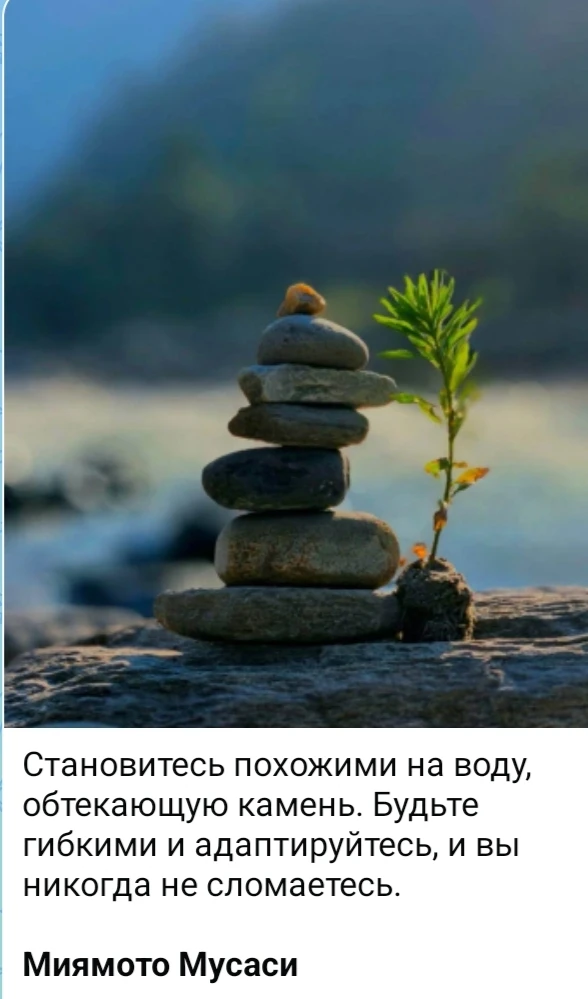 Изображение из поста - изображение