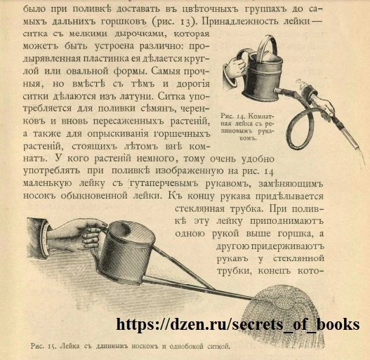 Откуда брали удобрения до появления магазинных подкормок? Как удавалось выращивать роскошные цветы без - изображение
