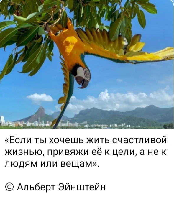 Изображение из поста - изображение