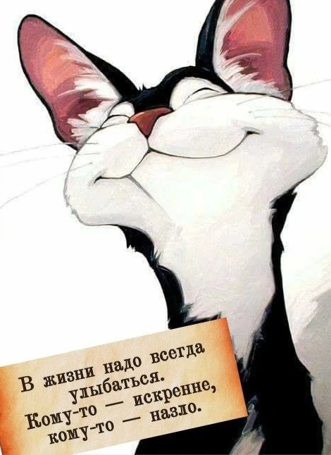 Изображение из поста - изображение