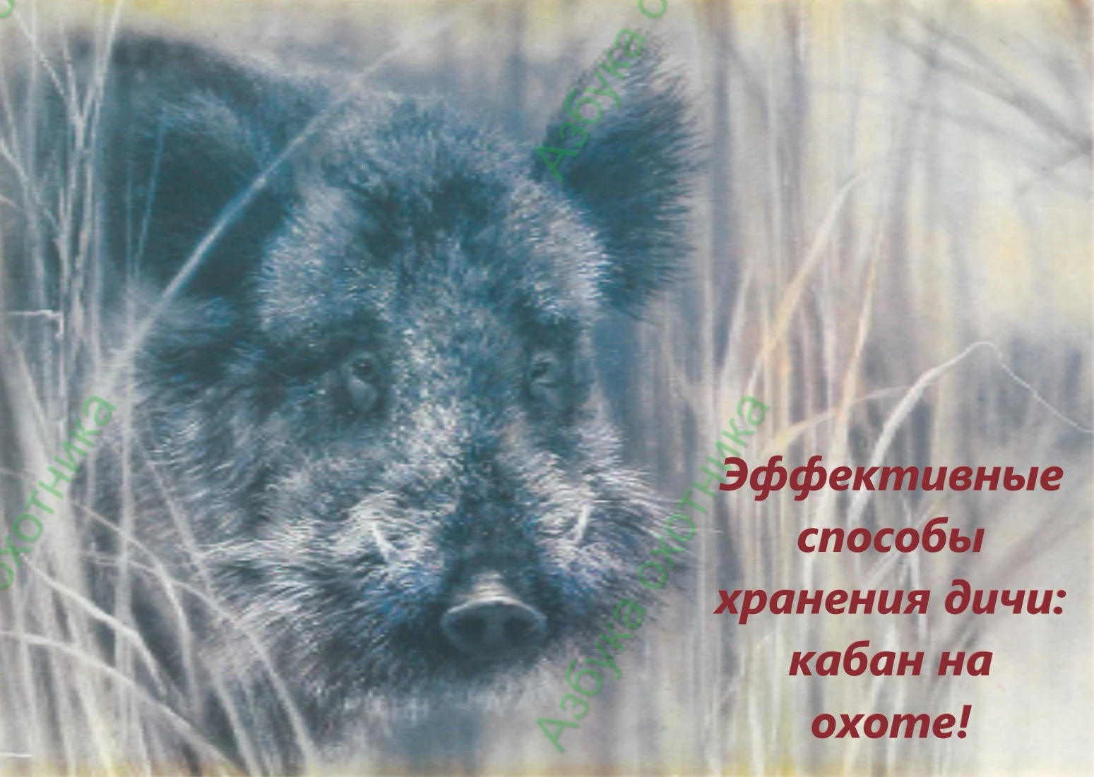 Доброго времени суток, уважаемые подписчики! Сегодня в разделе «Сбережём трофеи» мы поговорим о том, как - изображение