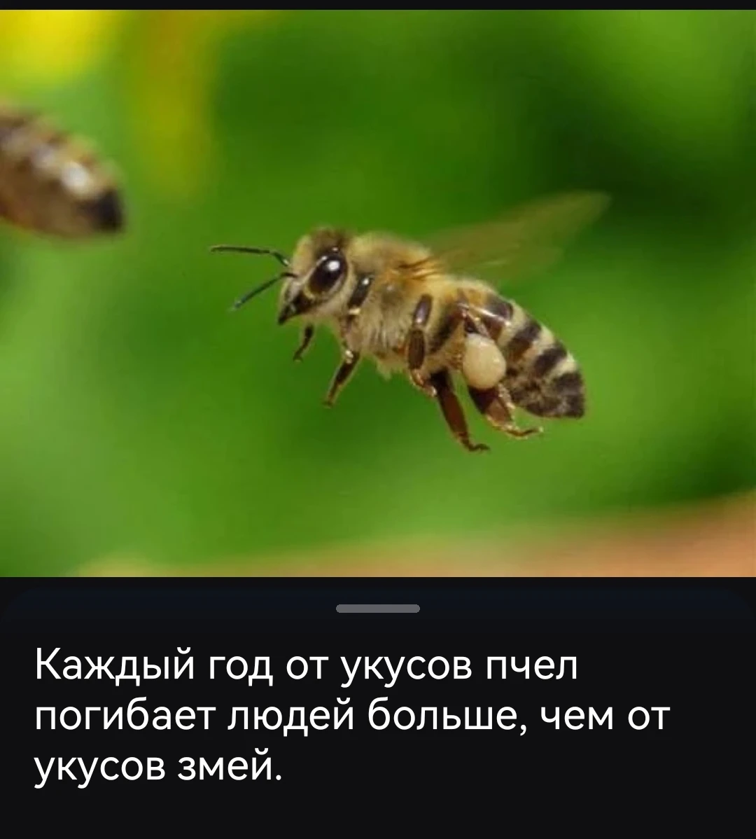 Изображение из поста - изображение