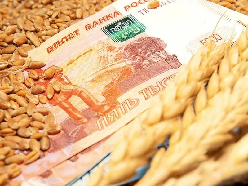 #БАЗАРразбор Коллеги по «Финбазару», ситуация в российском АПК этой осенью требует холодного расчета. Мы - изображение