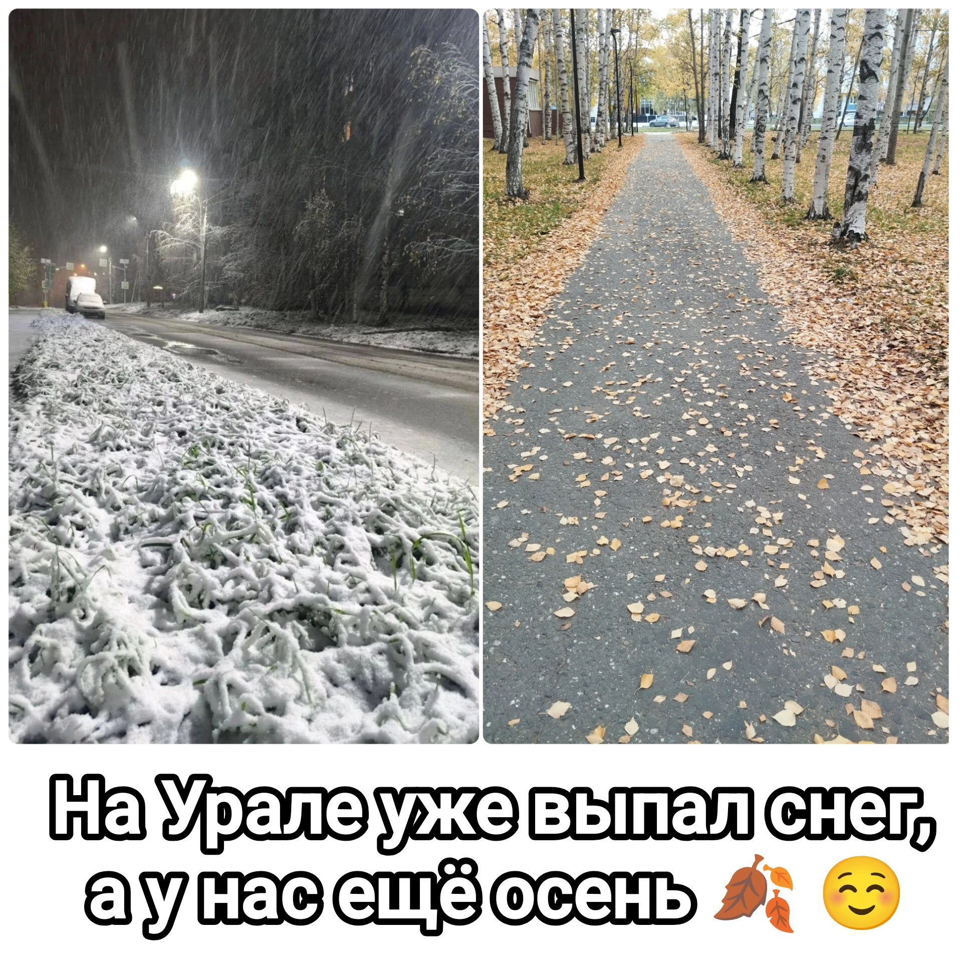 Ну злорадствовать мы, конечно, не будем, но оооочень радуемся 😁 #осень #снег #сибирь - изображение