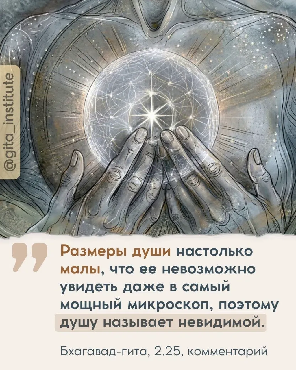 Изображение из поста - изображение