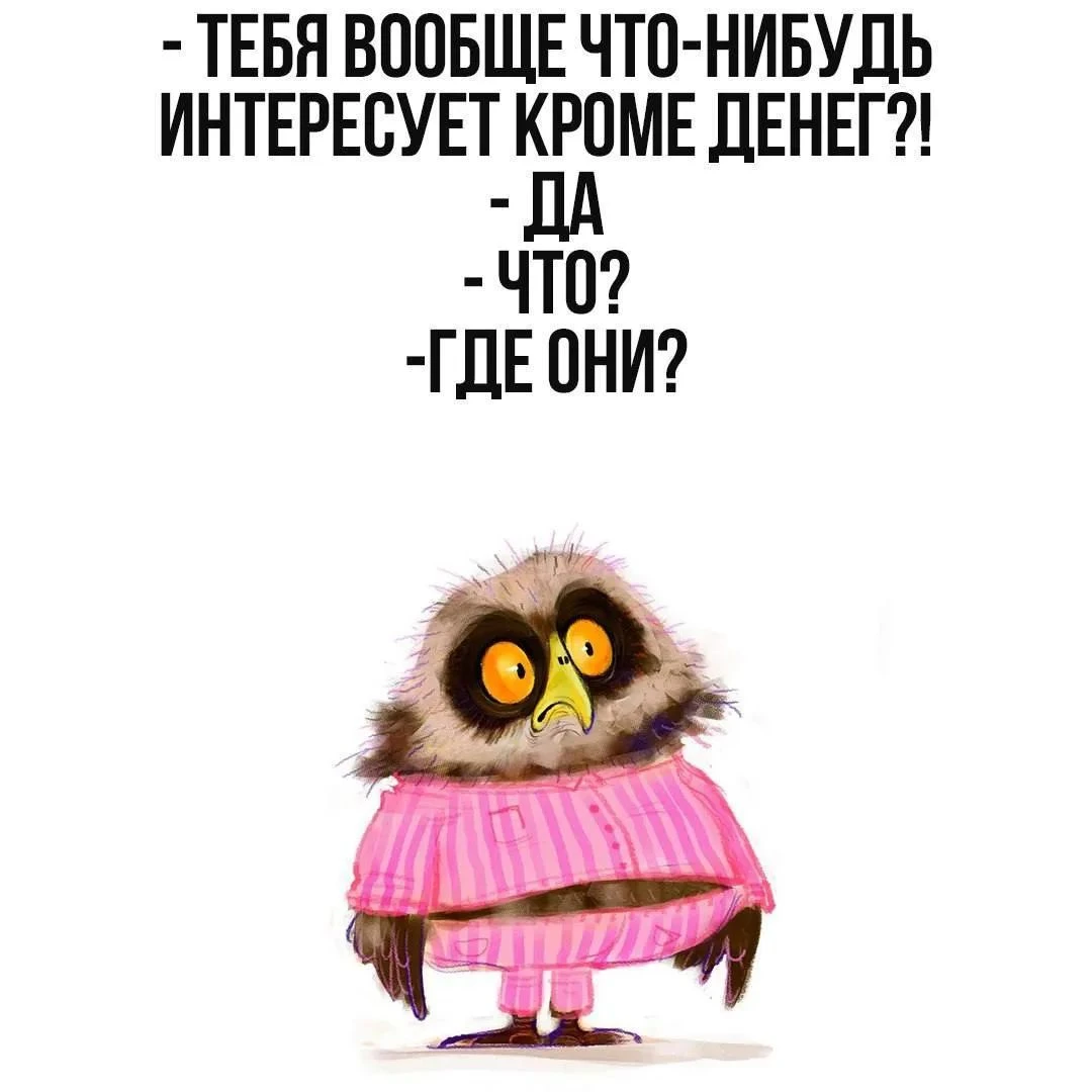 Изображение из поста - изображение