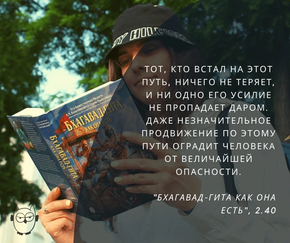 Изображение из поста - изображение