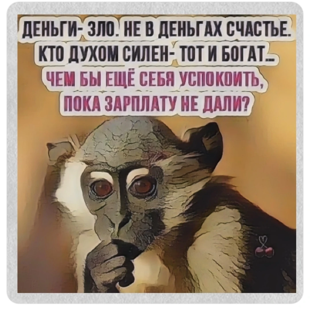 Изображение из поста - изображение